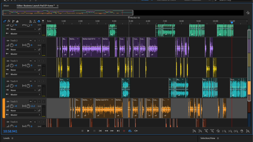 multitrack editing and recording audition