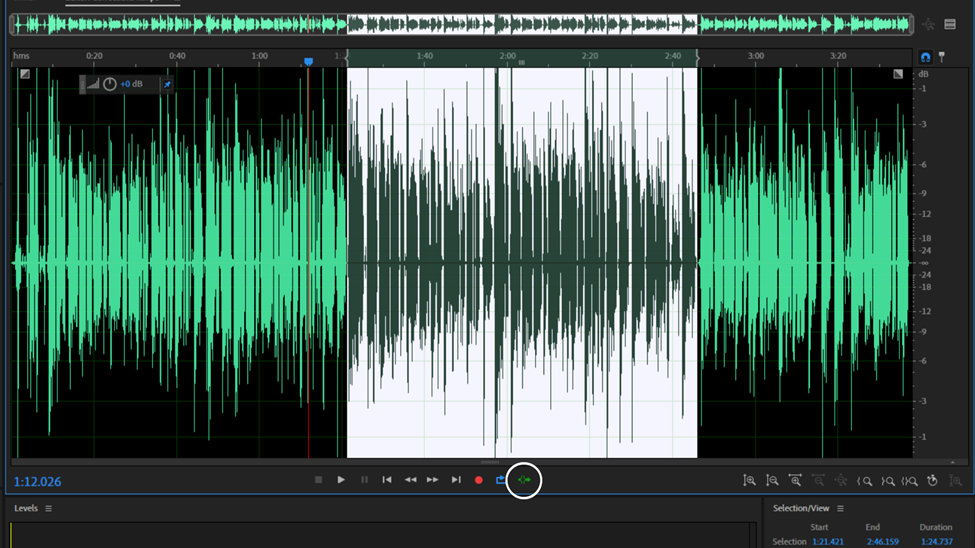 skip selection for cuts adobe audition