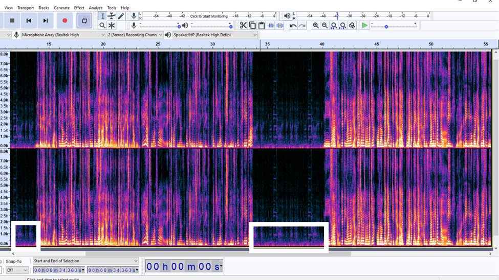 spectrogram view audacity