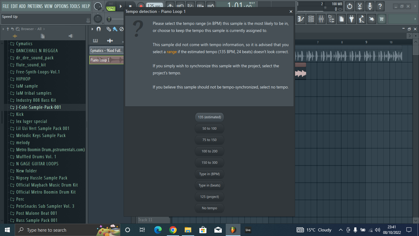 type sample tempo FL Studio