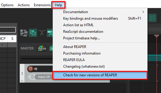 check for new REAPER versions