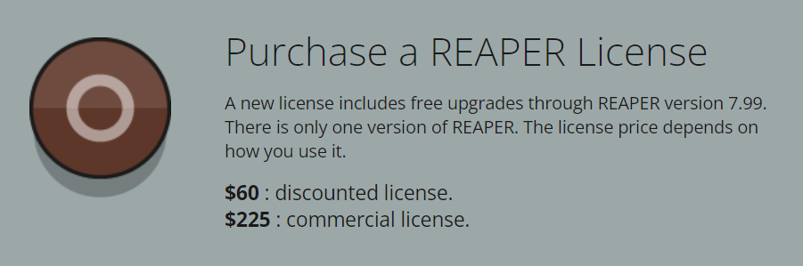 REAPER License for updates